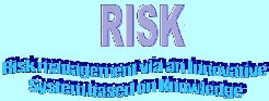 RISK Image 1