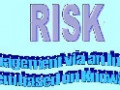 RISK Image 1